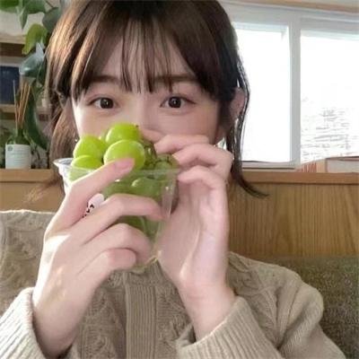 大象菩提